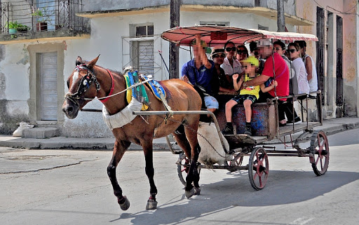 ¿Se necesita licencia de conducir para vehículos a tracción animal?